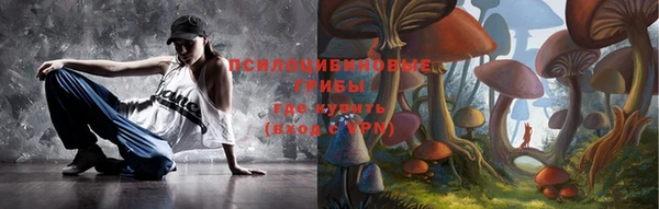 сатива Новодвинск