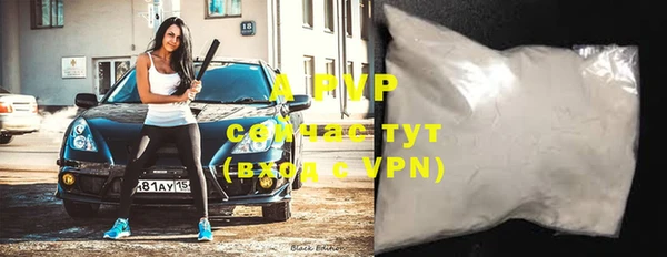 сатива Новодвинск