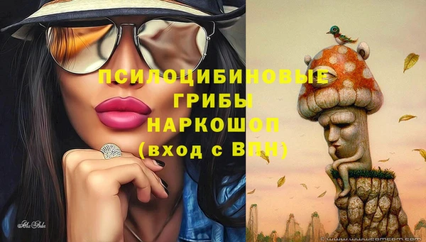 экстази Новозыбков