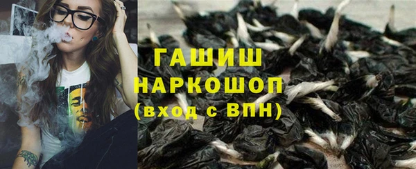 сатива Новодвинск