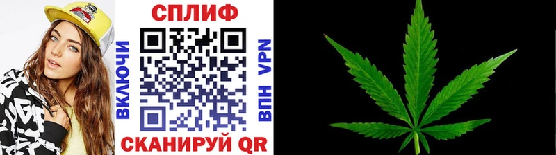 где можно купить   Трубчевск  Конопля LSD WEED 